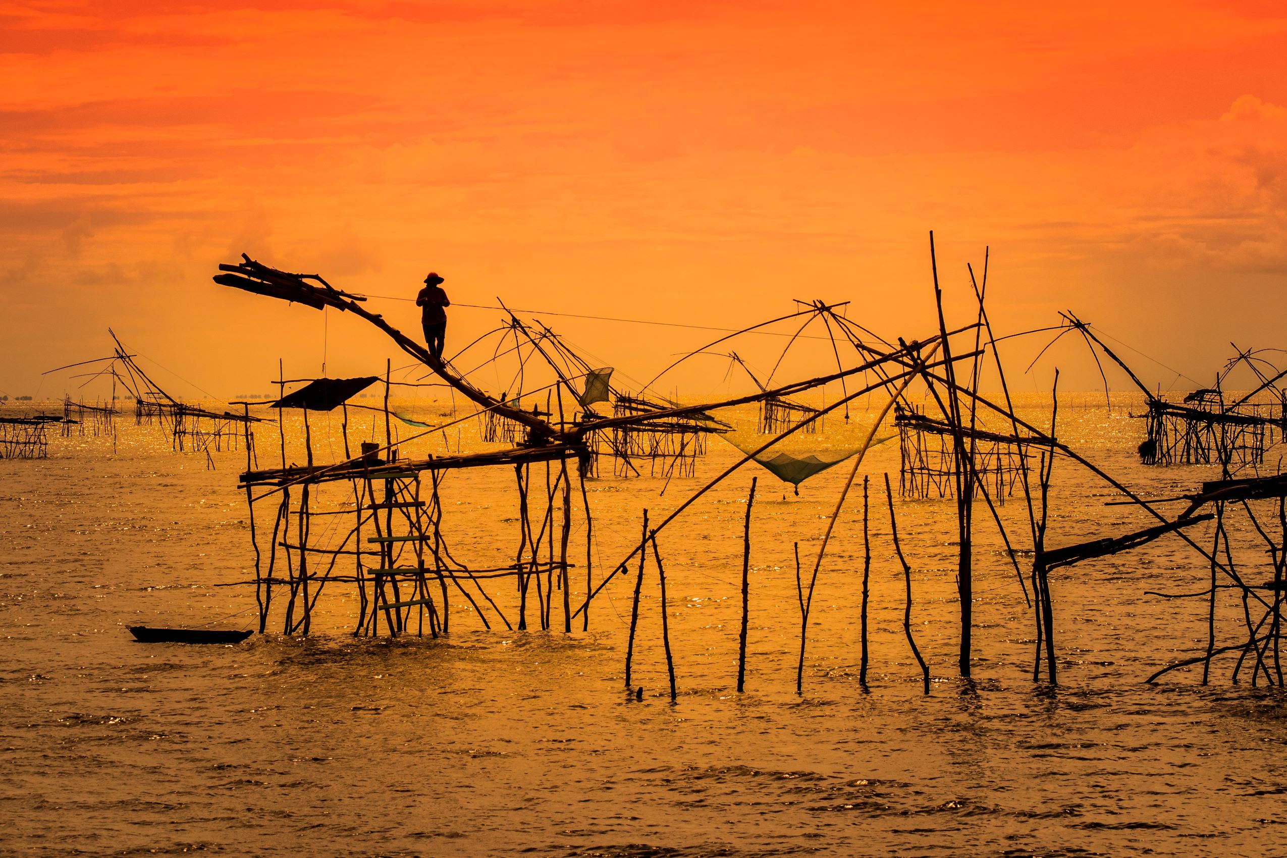 Vietnam targets EU lifting fishing yellow card in October